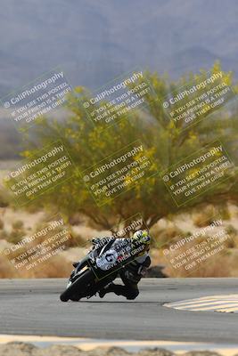 media/Apr-10-2022-SoCal Trackdays (Sun) [[f104b12566]]/Turn 5 Tree of Life (1040am)/